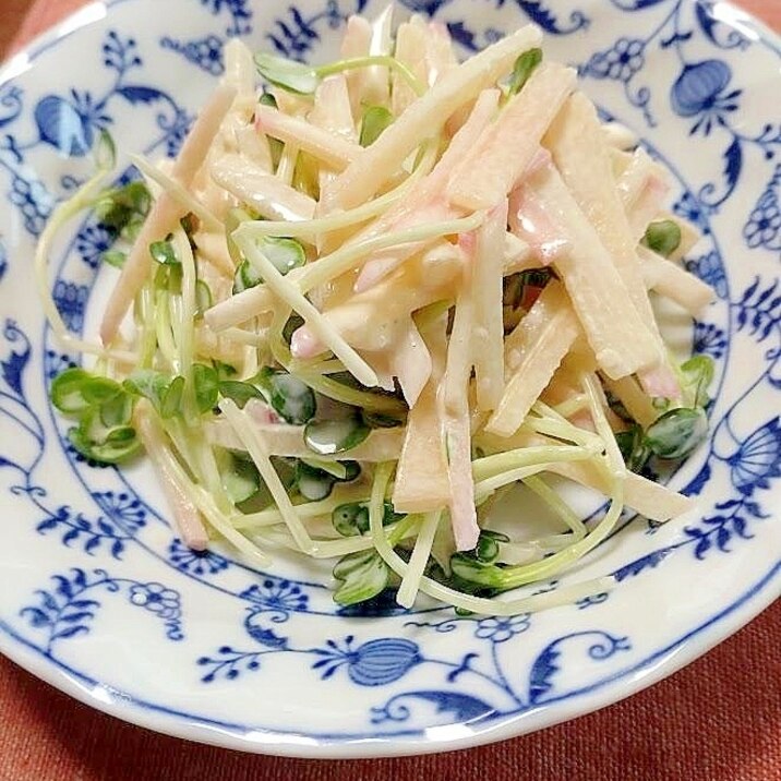 ヤーコンと貝割れのサラダ